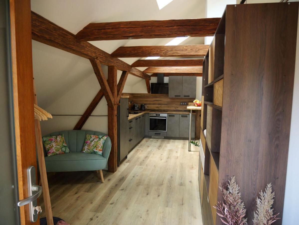 Apartman Danuse Ческа-Липа Экстерьер фото
