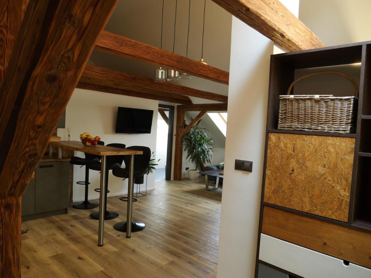 Apartman Danuse Ческа-Липа Экстерьер фото